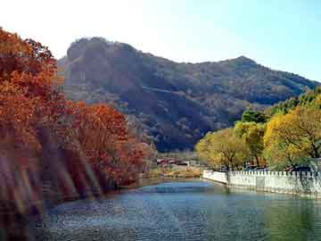 新澳天天开奖资料大全旅游团，针车配件